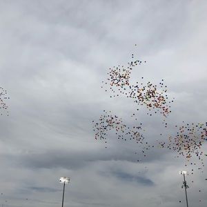 Meet your Posher, Sydney